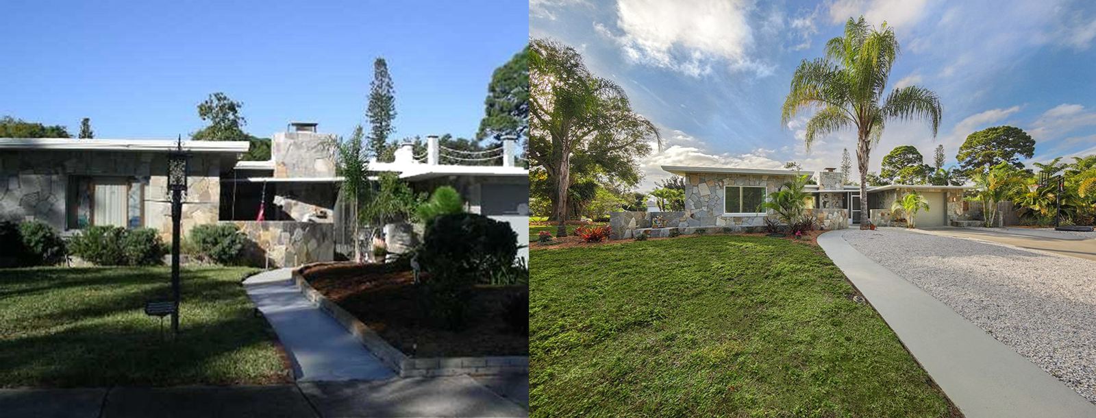 Front of the house before and after, with a new lawn and palm